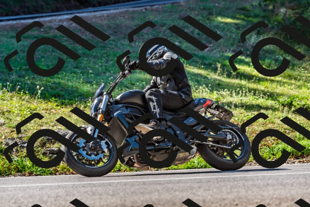 202509211059-DSC_2652_d2_