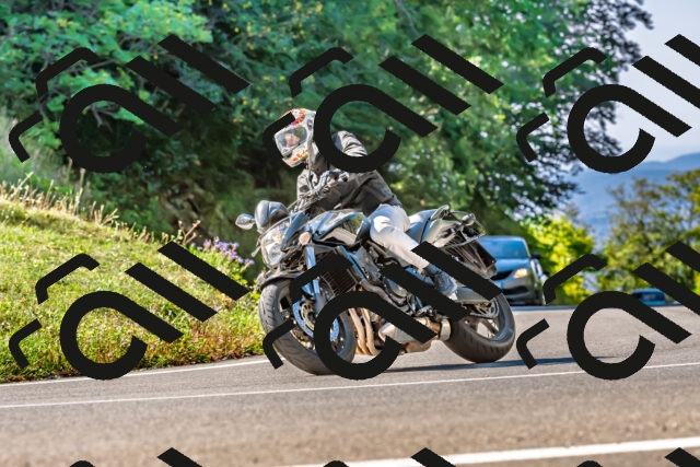 202509211059-DSC_2653_d2_