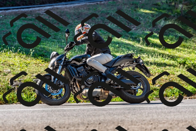 202509211059-DSC_2654_d2_