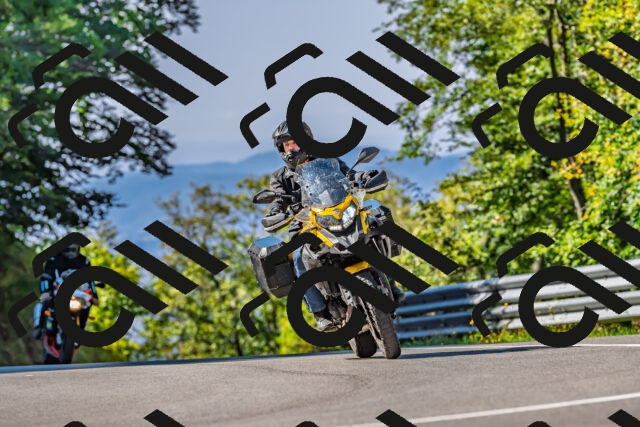 202509211100-DSC_2664_d2_