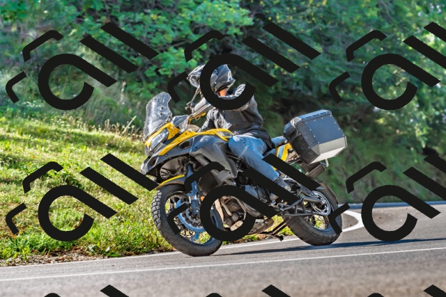 202509211100-DSC_2665_d2_