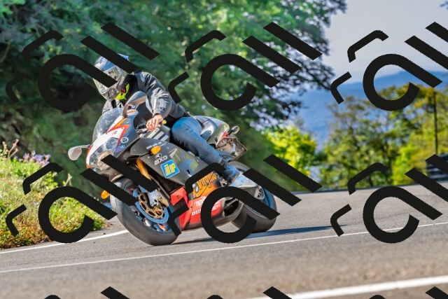 202509211100-DSC_2667_d2_