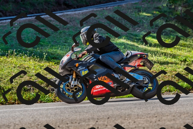 202509211100-DSC_2668_d2_