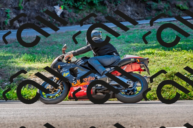 202509211100-DSC_2670_d2_