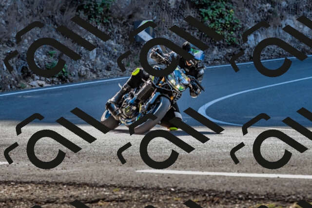 202509211101-DSC_2674_d2_