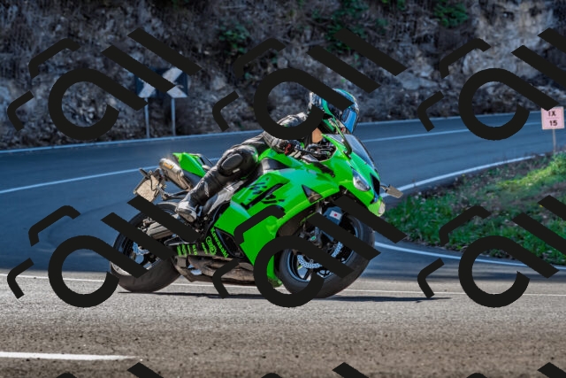 202509211101-DSC_2692_d2_