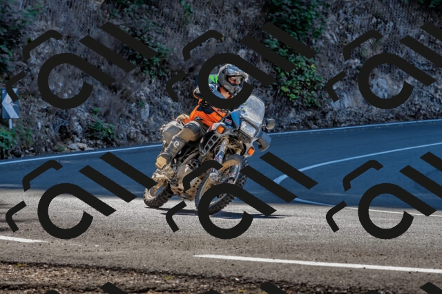 202509211101-DSC_2698_d2_