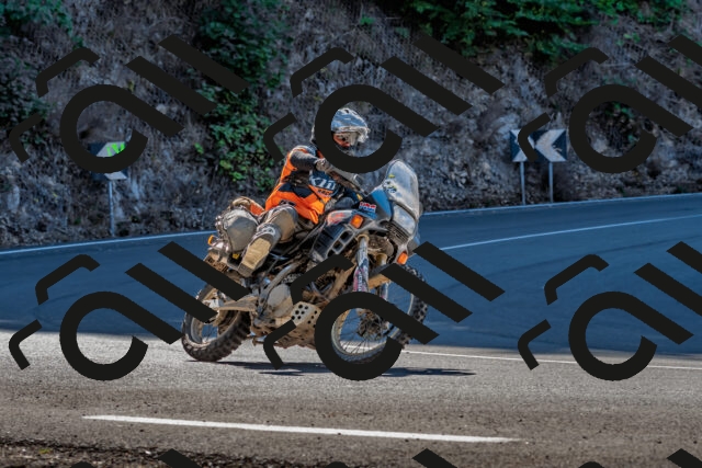 202509211101-DSC_2699_d2_