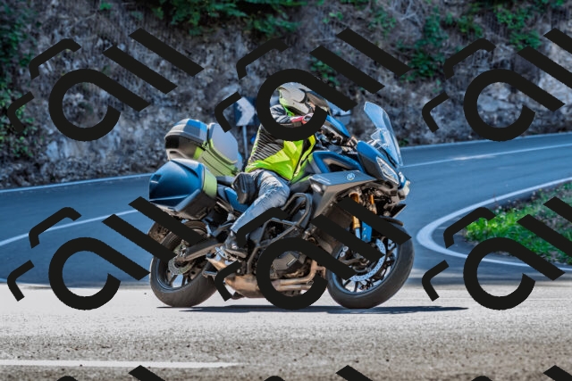 202509211109-DSC_2735_d2_