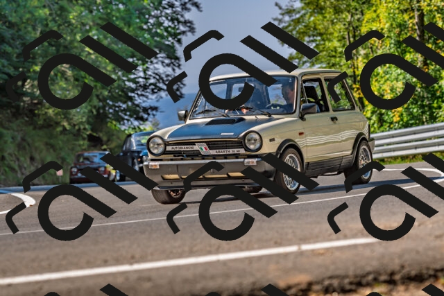 202509211110-DSC_2743_d2_