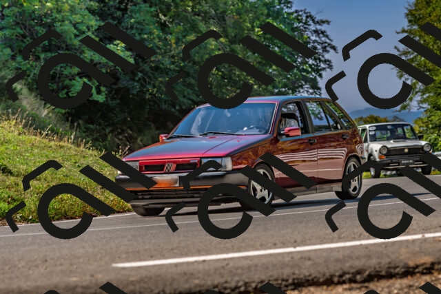 202509211115-DSC_2862_d2_