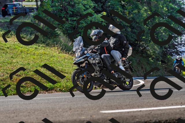 202509211115-DSC_2891_d2_