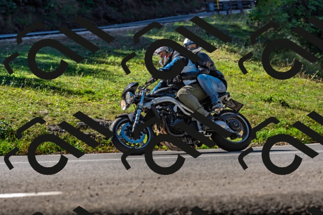 202509211115-DSC_2896_d2_