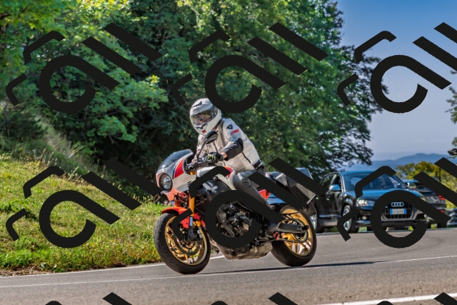 202509211116-DSC_2924_d2_