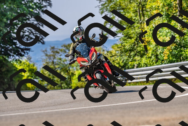 202509211117-DSC_2939_d2_