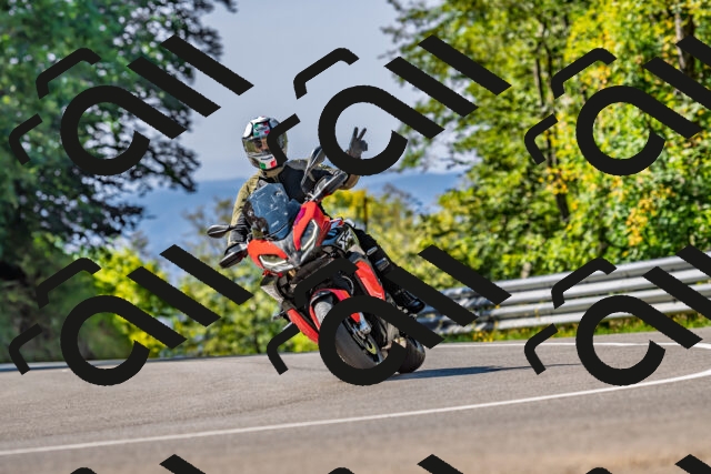 202509211117-DSC_2940_d2_