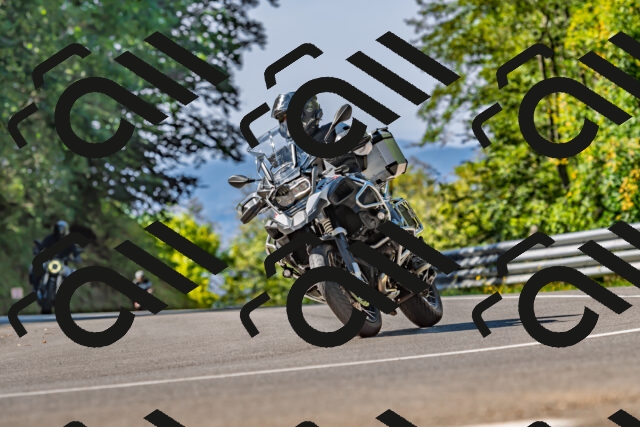 202509211117-DSC_2946_d2_