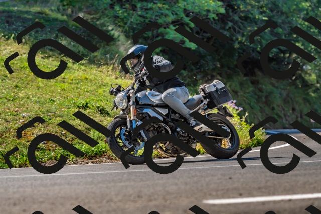 202509211117-DSC_2950_d2_