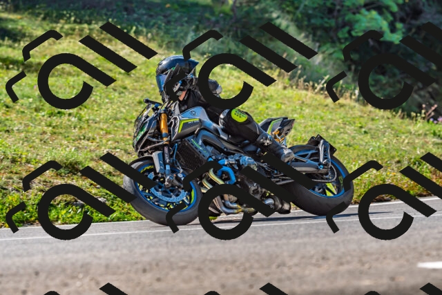 202509211117-DSC_2958_d2_