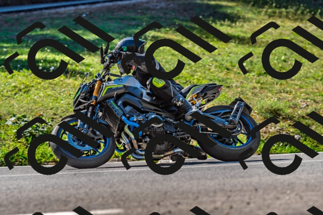 202509211117-DSC_2959_d2_