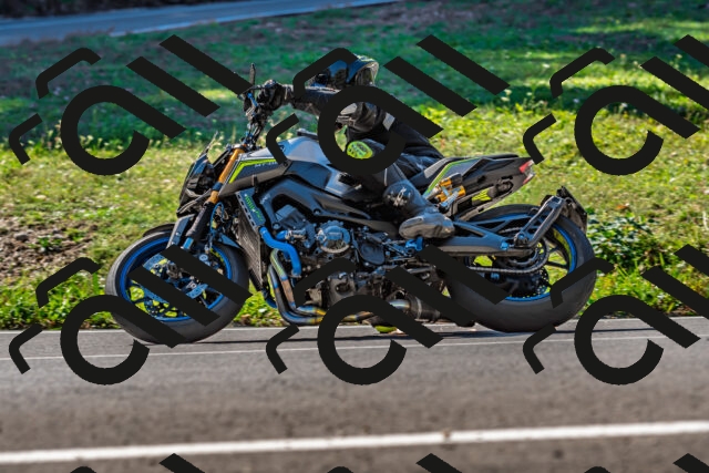 202509211117-DSC_2960_d2_