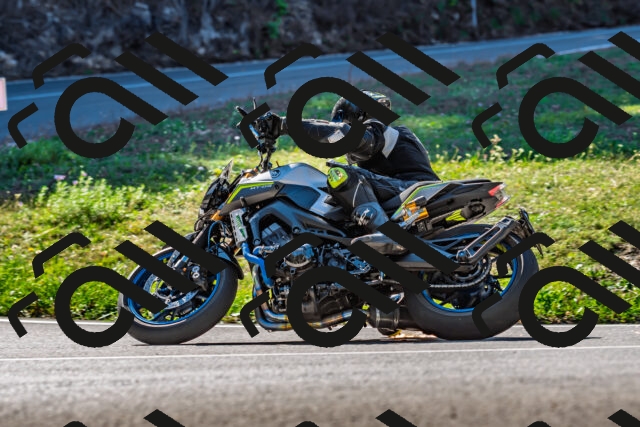 202509211117-DSC_2961_d2_