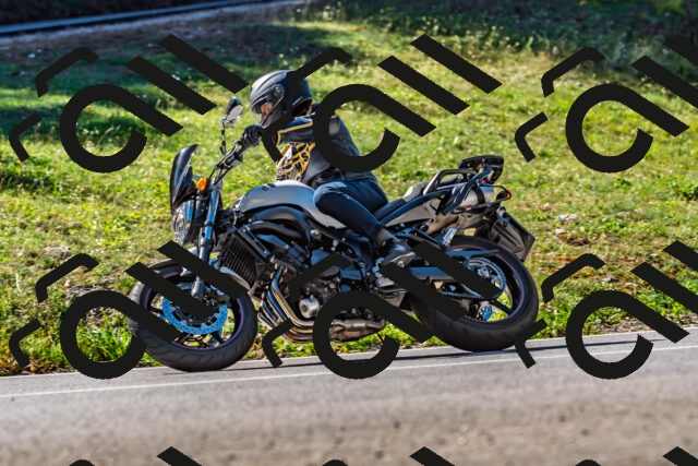 202509211117-DSC_2979_d2_