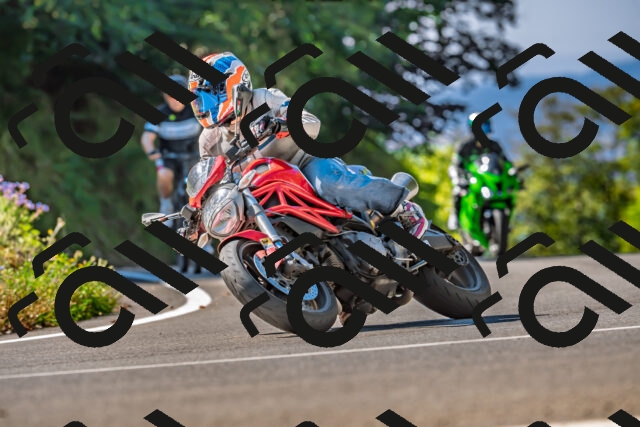 202509211118-DSC_2981_d2_