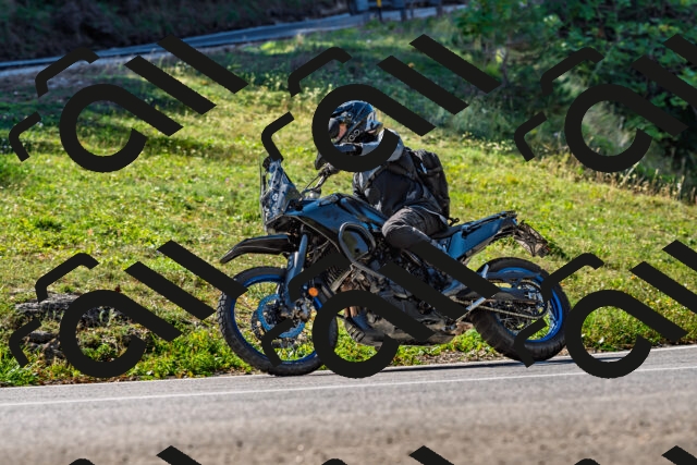 202509211118-DSC_2999_d2_