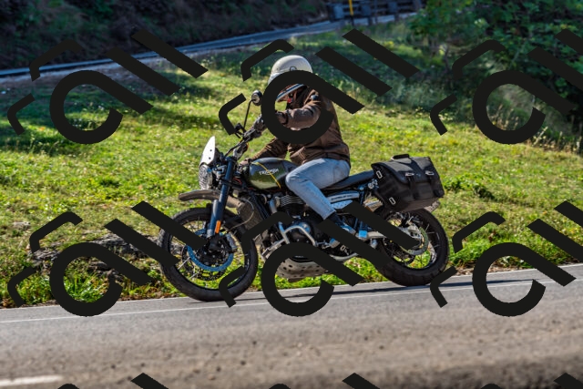 202509211118-DSC_3005_d2_