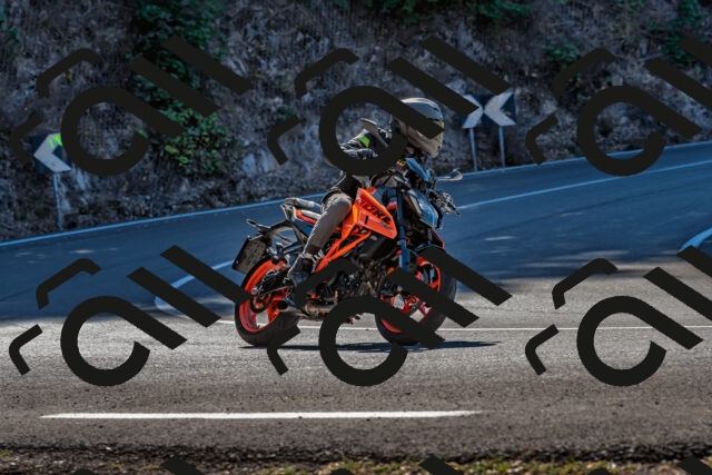 202509211126-DSC_3072_d2_