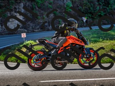 202509211126-DSC_3074_d2_