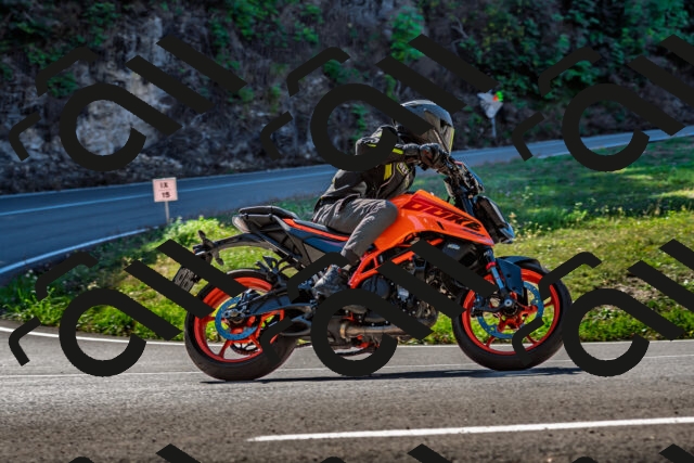 202509211126-DSC_3074_d2_