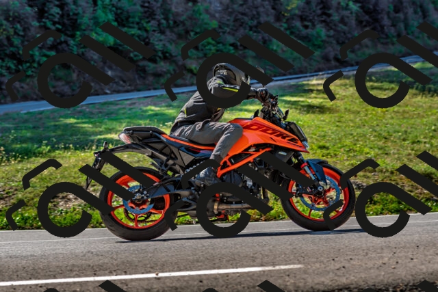 202509211126-DSC_3075_d2_