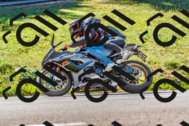 202509211130-DSC_3097_d2_