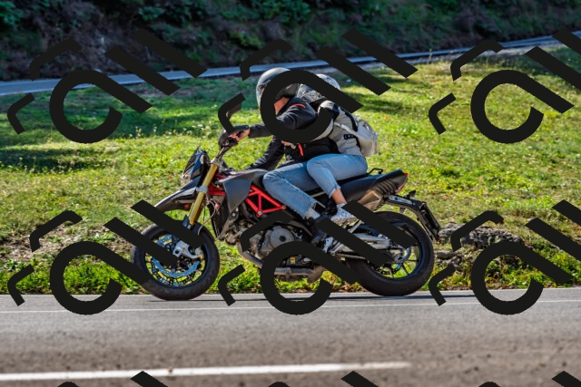 202509211130-DSC_3106_d2_