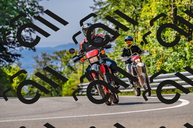 202509211131-DSC_3111_d2_