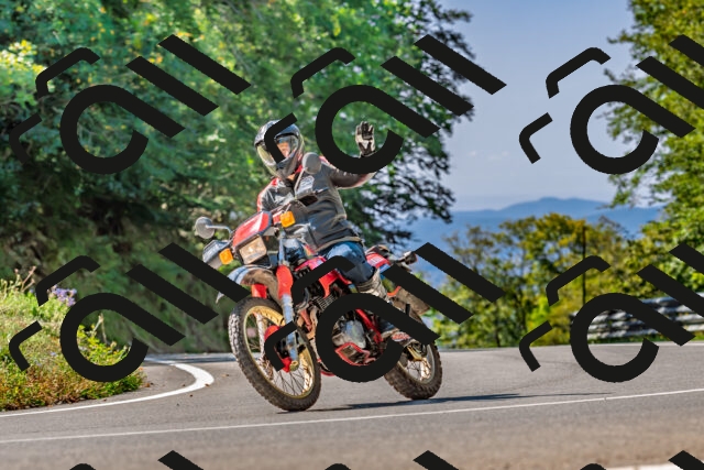 202509211131-DSC_3113_d2_