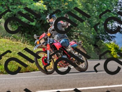 202509211131-DSC_3114_d2_