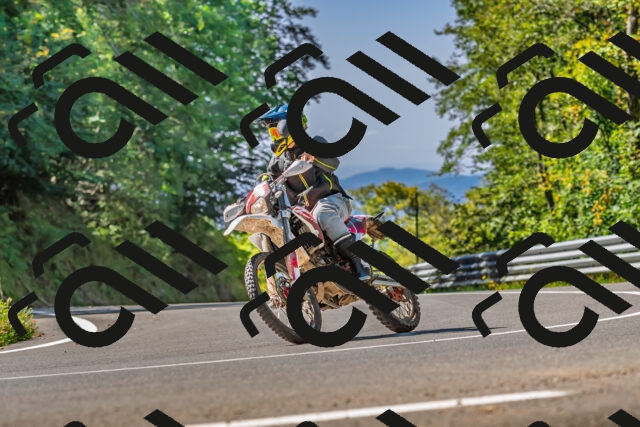 202509211131-DSC_3115_d2_