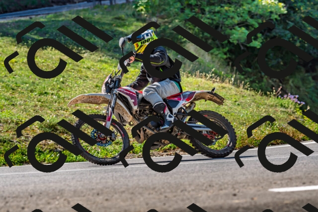 202509211131-DSC_3116_d2_