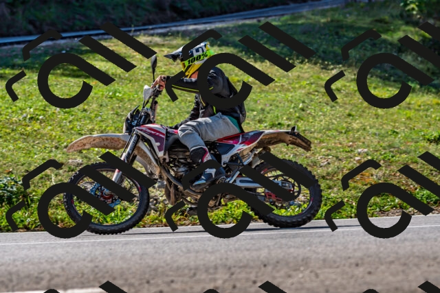 202509211131-DSC_3117_d2_