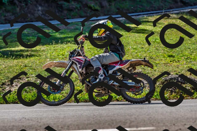 202509211131-DSC_3118_d2_