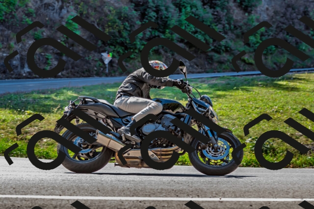 202509211134-DSC_3134_d2_