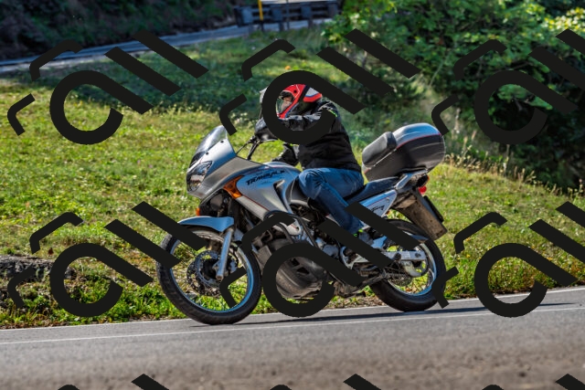 202509211134-DSC_3138_d2_