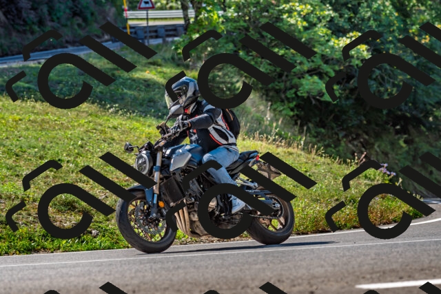 202509211134-DSC_3140_d2_