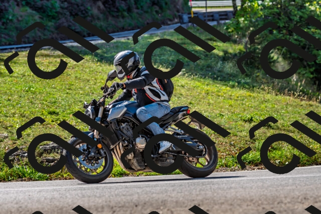 202509211134-DSC_3141_d2_