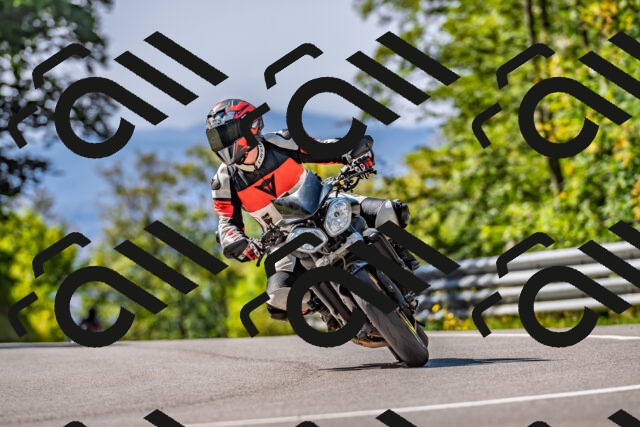 202509211137-DSC_3156_d2_