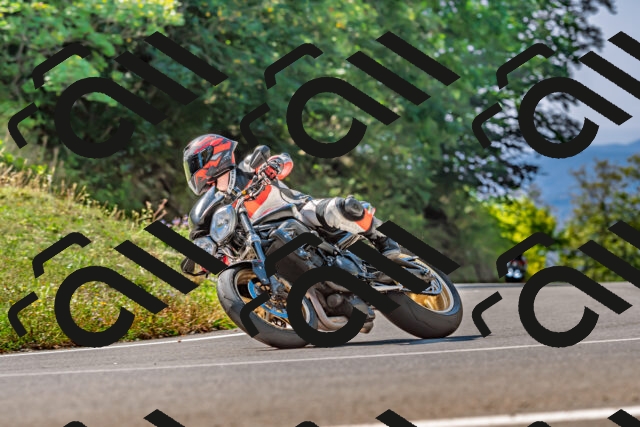 202509211137-DSC_3157_d2_