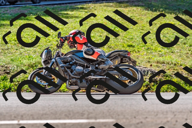 202509211137-DSC_3159_d2_